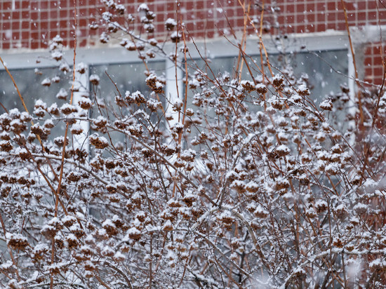 Небольшой снег и минусовые температуры обещают псковичам 28 ноября