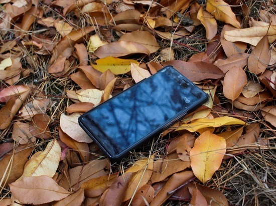 В Смоленске подбирая потерянный телефон вы рискуете сесть на пять лет