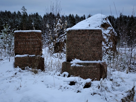 Старинные надгробия нашли в лесу под Выборгом