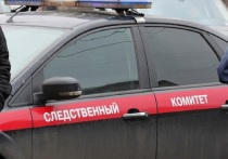 Во Владивостоке обнаружены тела 31-летнего мужчины и его 22-летней девушки с множественными колото-резаными ранами