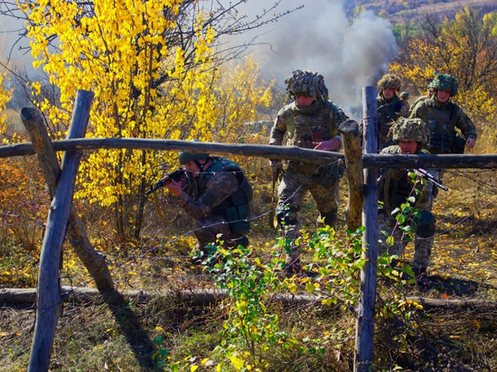Кедми объяснил тактику Кремля в отношении Украины: не надо вводить войска
