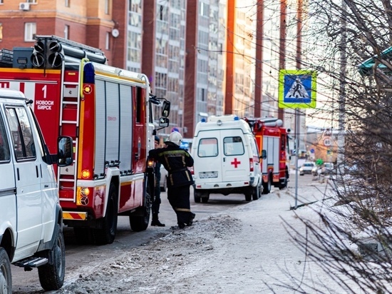 В Омске из-за пожара погибли женщина и ее маленькая дочь