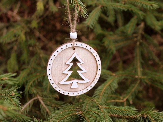 Самодельные игрушки украсят ёлку в ботаническом саду Донецка