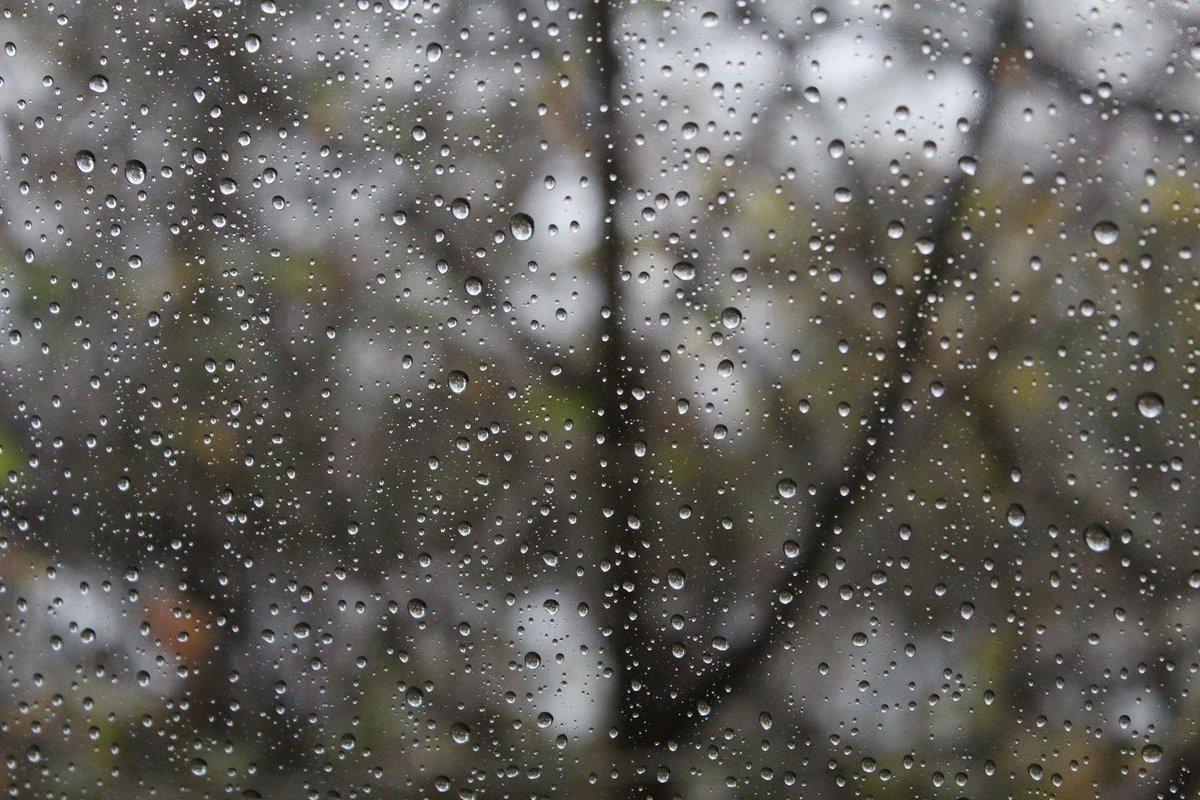 Целый день шел мелкий дождь. Осень дождь. Дождливый день. Пасмурный дождливый день.