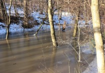 В Сретенском районе сложилась сложная ситуация с выходом грунтовых вод
