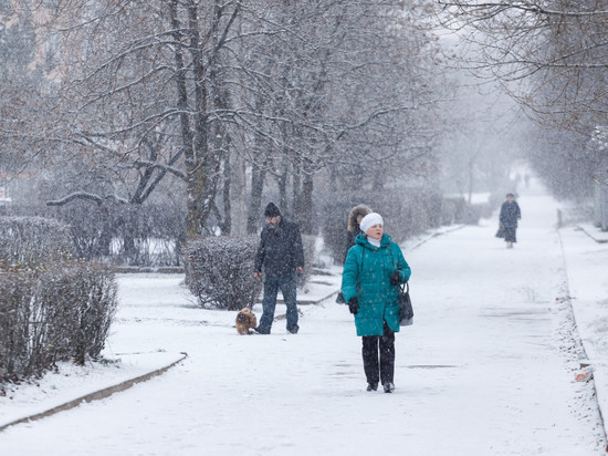 Сильный снегопад обрушится на Псковскую область вечером 29 ноября