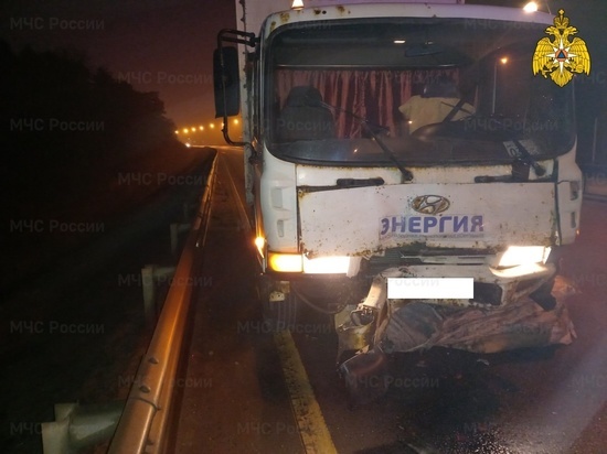 Два человека пострадали в ДТП с грузовиком на трассе М-3 в Калужской области