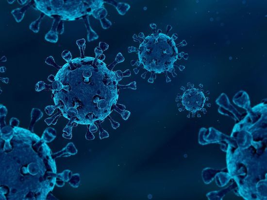 Почти 300 калининградцев заразились коронавирусом за сутки