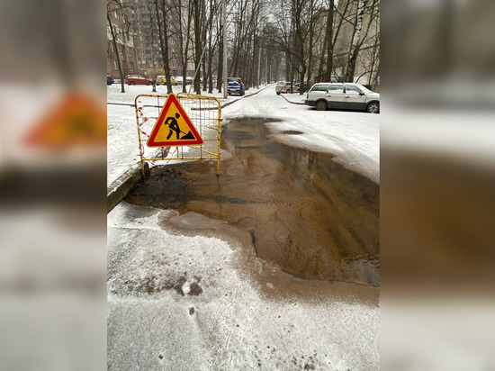 «Ждем, когда провалится асфальт»: на Бестужевской улице третий день из-под земли течет вода