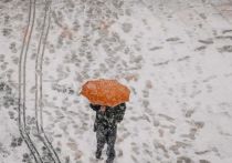 Погода в Петербурге не порадует теплолюбивых горожан в последний день осени. Весь день будет идти снег, а порывы ветра достигнут 13 метров в секунду.