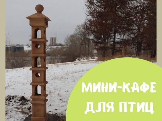 Птичье кафе появилось на острове Татышев в Красноярске