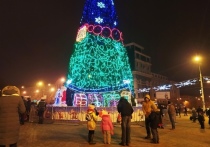 Утром 29 ноября, несмотря на дождь и туман, на центральной площади города Донецка начали установку новогодней елки