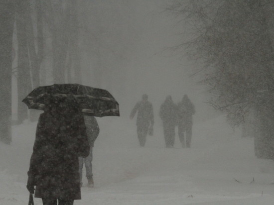 Более 3 тысяч жителей Псковской области остались без света из-за сильного снегопада