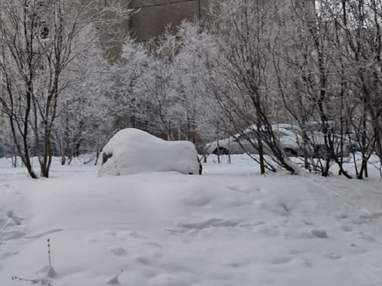 В Мурманской области ночной мороз уступит место ветреному потеплению