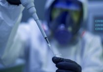 Вирусолог, профессор Центра имени Гамалеи Анатолий Альтштейн высказал мнение, что найденный в ЮАР новый штамм коронавируса "Омикрон" может быть не столь опасен