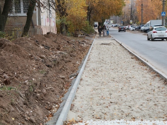 Председатель ТОС попросила отремонтировать тротуар на улице Бронной в Рязани
