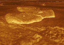 Жизнь на Венеру теоретически могла быть занесена с Земли