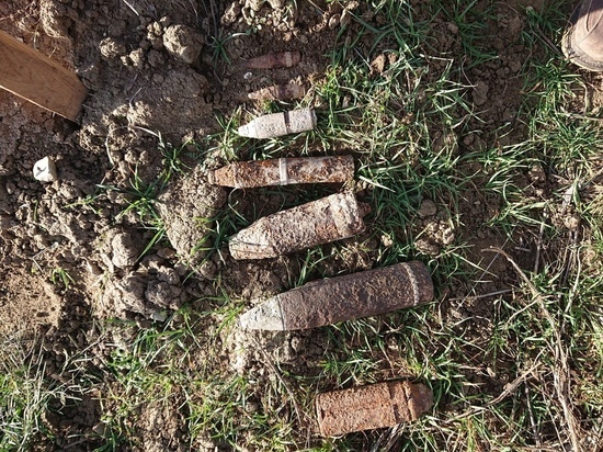 10 боеприпасов нашли при распашке виноградника в Севастополе