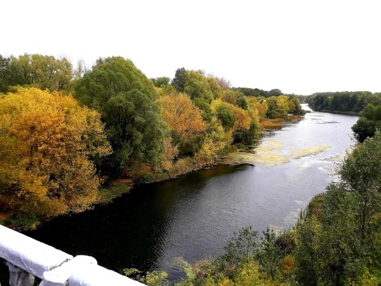 В Курске к 1000-летию города могут построить набережную вдоль реки Тускарь