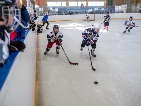 Профессиональный хоккейный корт откроется в 2022 году в Яр-Сале