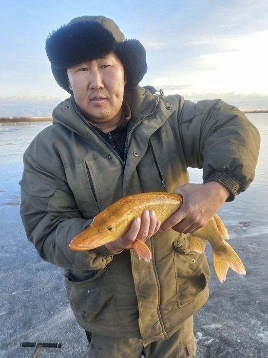 Житель Бурятии поймал золотую рыбку