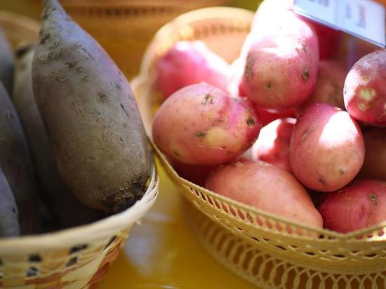 Медики назвали картофель суперовощем для профилактики гипертонии