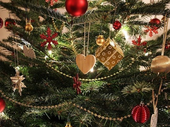 Ретейлеры сообщили о подорожании новогодних елок в России