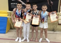 Представители донецкой школы спортивной гимнастики приняли участие в соревнованиях в Смоленске, сообщает министерство молодежи, спорта и туризма ДНР