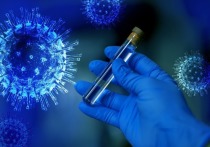 Научные консультанты в Великобритании ожидают, что будут подтверждены сотни случаев заражения коронавирусным штаммом «Омикрон»