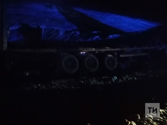 В Татарстане в ДТП свалился в кювет грузовик из Удмуртии