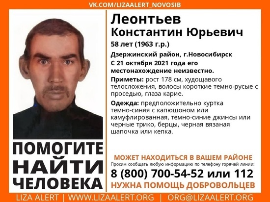 В Новосибирске мужчина вышел погулять с собакой и пропал