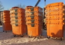В Читу начали поступать контейнеры для раздельного сбора мусора. Пока прибыла партия оранжевых контейнеров для сбора пластика. 