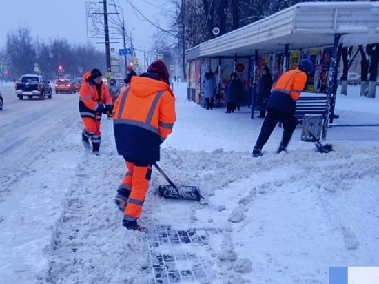 Псковским «управляйкам» поручили убрать снег между дворов