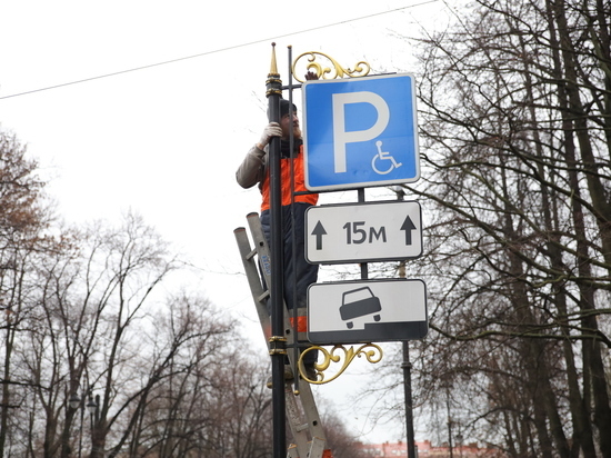 Автоэксперт рассказал о плюсах платных парковок в Петербурге