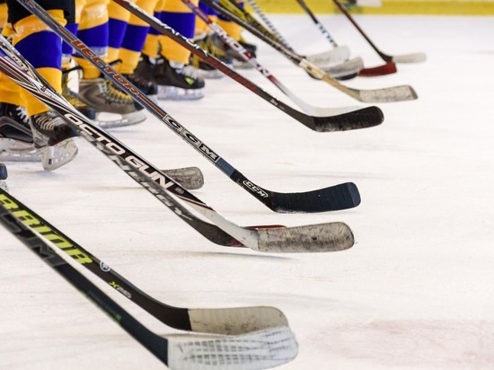 1 декабря поклонники спорта отмечают Всероссийский день хоккея