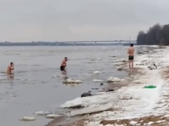 Ярославские моржи устроили массовый заплыв среди льдин