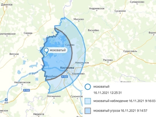 Костромским охотникам рекомендовано держаться подальше от острова Моховатый