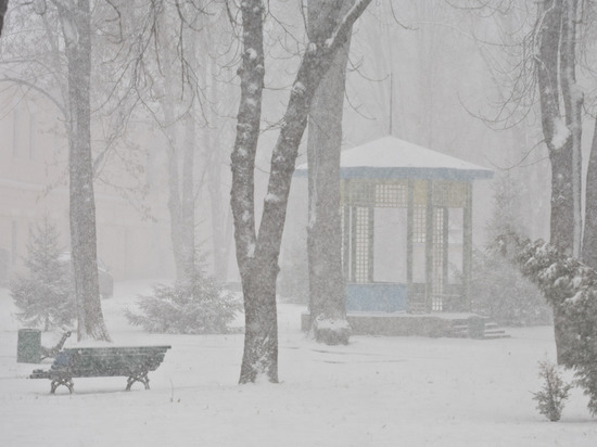 Снег не прекратит идти в Ленобласти до третьего декабря