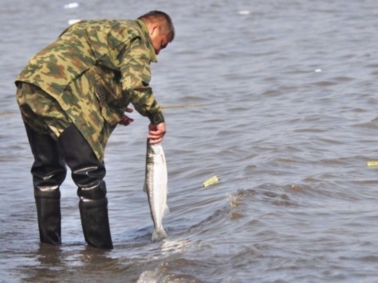Представителям КМНС необходимо сдать отчёт по вылову рыбы в 2021 году