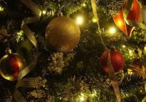Совладелец сети строительных гипермаркетов Мария Евневич рассказа о причинах подорожания в России новогодних елок