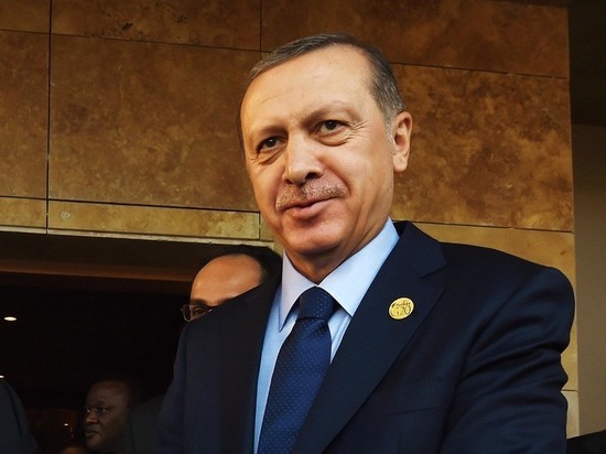 Эксперты прокомментировали готовность Эрдогана стать посредником в переговорах Москва-Киев
