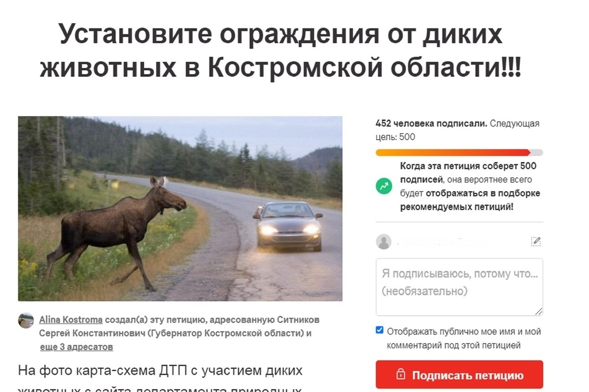 Костромичи разместили в интернете петицию об устройстве противолосиных заборов вдоль дорог области