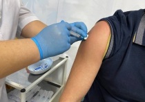 Число вакцинированных от ковида жителей Алтайского края к концу декабря достигнет 1 млн человек