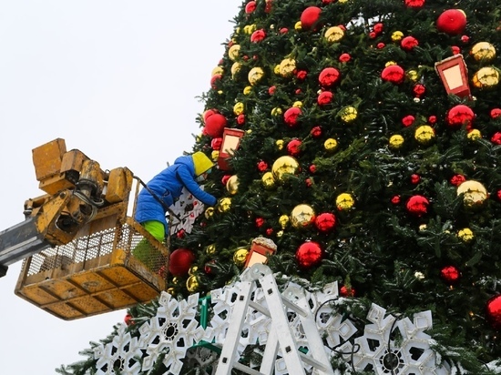 Омская область не обеспечивает полную потребность города в новогодних деревьях