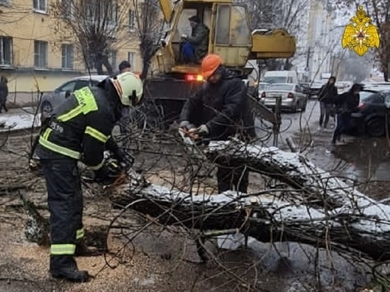 Из-за непогоды спасатели Тверской области оказывают людям адресную помощь