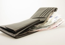 В Марий Эл полицейские задержали подозреваемую в краже денег из найденного кошелька и с банковских карт.