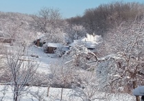 Жители Шахтерска, Тореза и Снежного утром 1 декабря увидели в своих окнах настоящую зиму