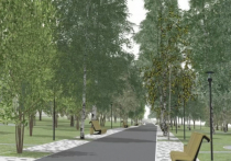 Две общественные территории в Барнауле благоустроят в 2022 году в рамках нацпроекта «Формирование комфортной городской среды»