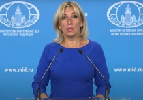 Захарова заявила о стягивании в Донбасс половины армии Украины