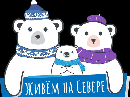 Новогодние сюрпризы: 265 маленьких северян загадали желания в рамках акции «Елка Заботы»